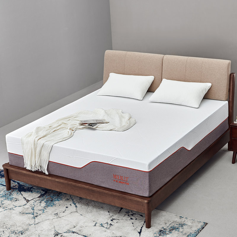 Molblly TwoSided 14'' Medium Memory Foam Sofa Bed Mattress & Reviews